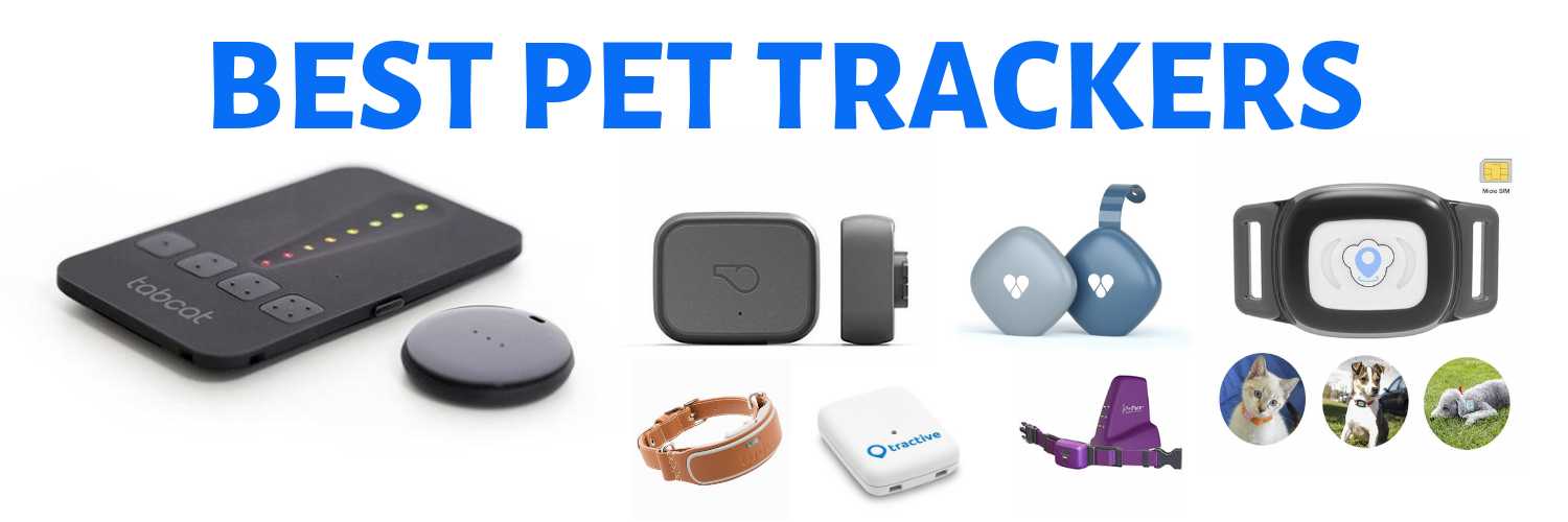 The Best Pet Trackers for your Furry Family of 2019 Tabcat US