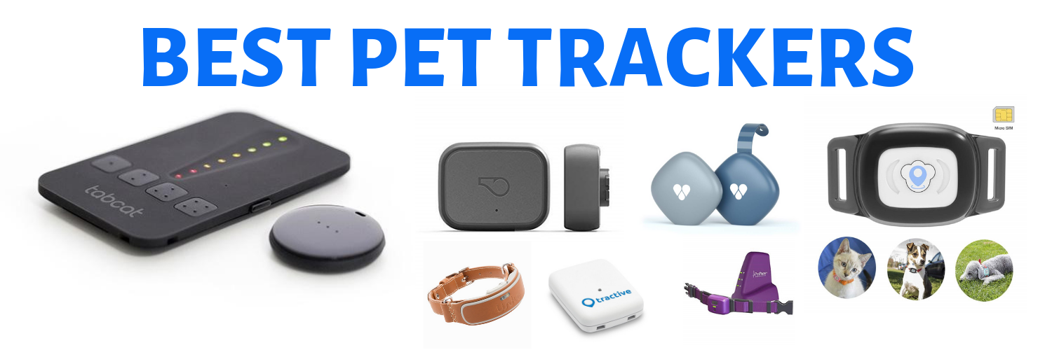 The Best Pet Trackers of 2019