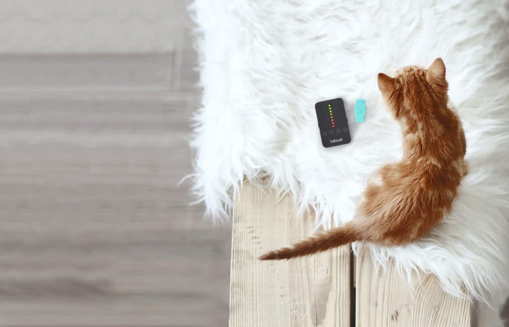 Tabcat Cat Tracker V2 - The Best Cat Tracking Device that Attaches to your Cat’s Collar