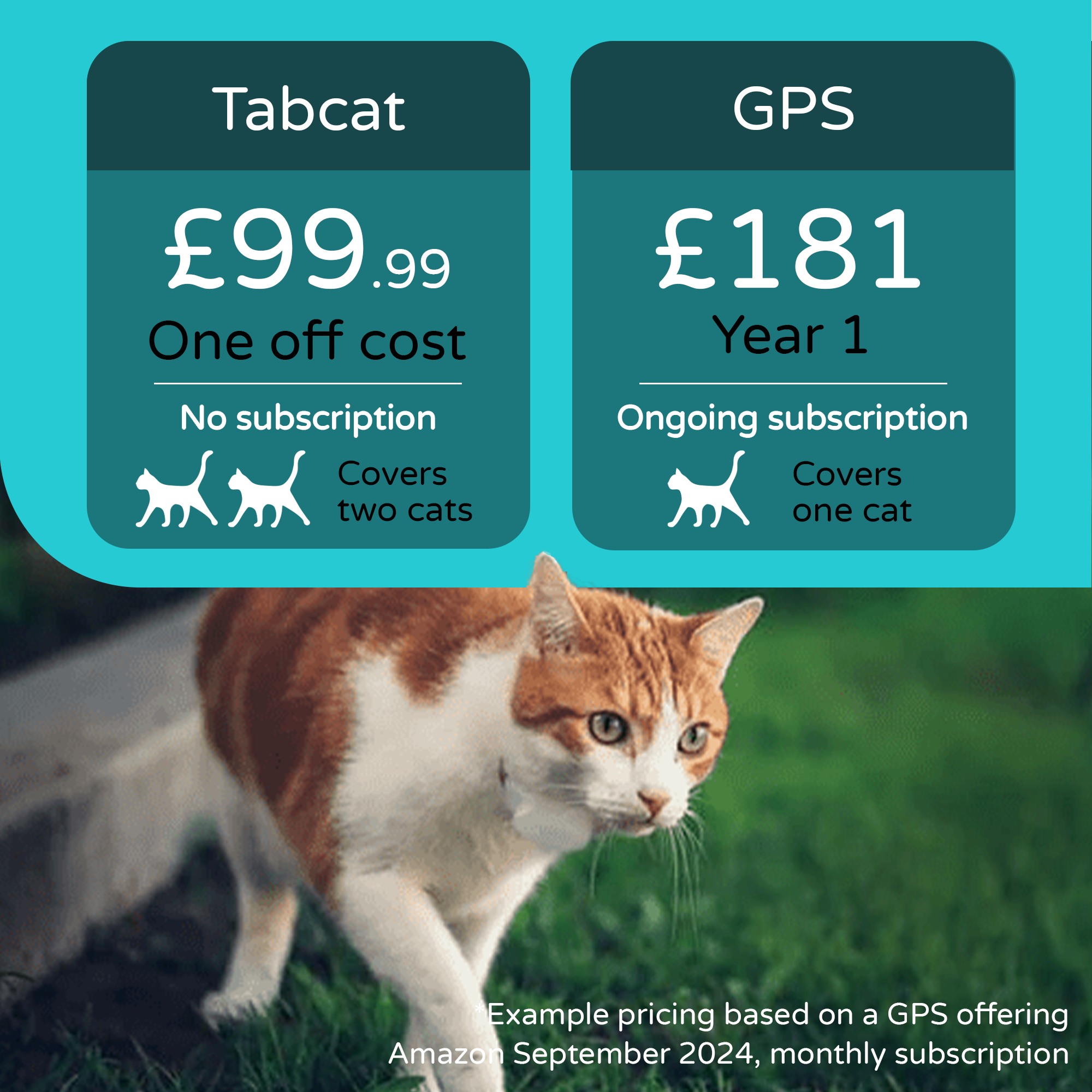 Tabcat Cat Tracker: The Best Cat Tracker for the Cats Collar - Tabcat US