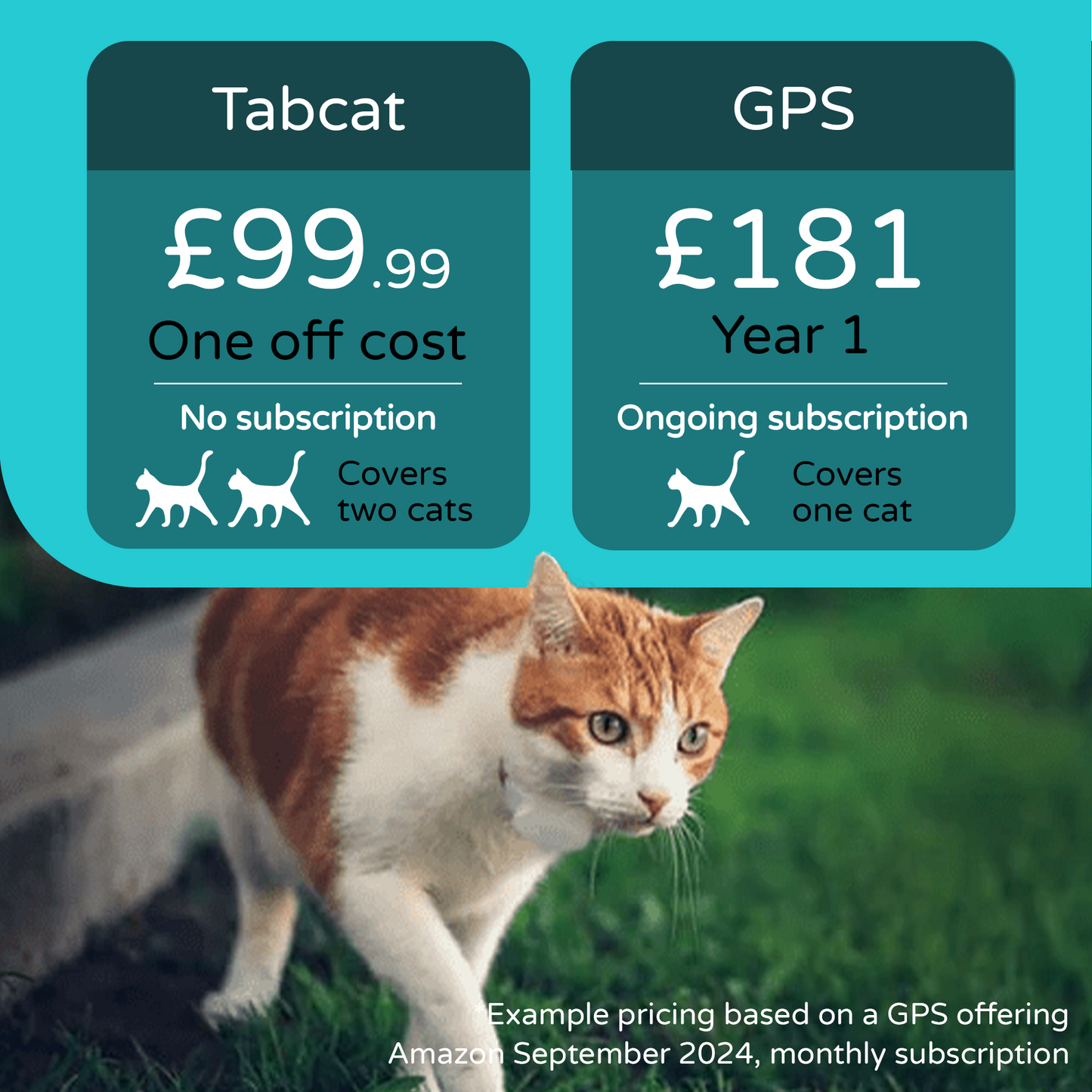 Tabcat Tracker Bundle