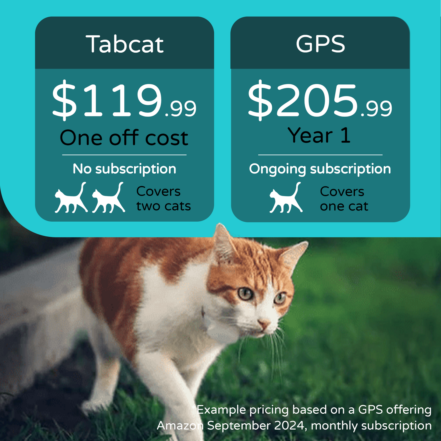 Tabcat Cat Tracker V2 The Best Cat Tracking Device that Attaches to your Cat s Collar