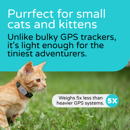 Tabcat Cat Tracker V2 - The Best Cat Tracking Device that Attaches to your Cat’s Collar