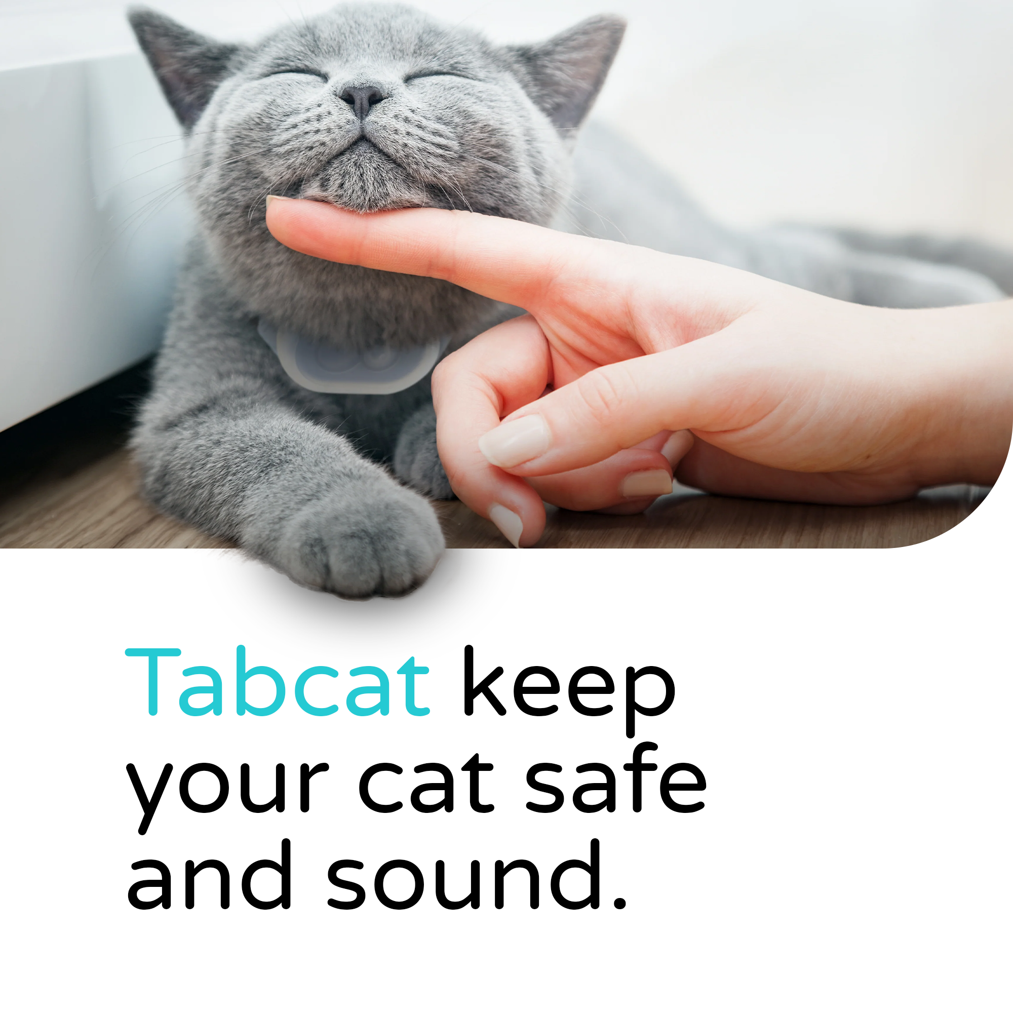 Tabcat Cat Tracker V2 - The Best Cat Tracking Device that Attaches to your Cat’s Collar