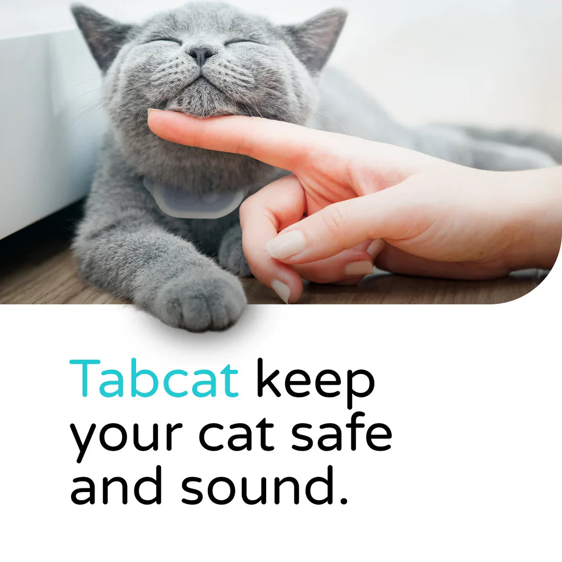 tabcat safe & found 猫用位置確認デバイス Tabcat Tracker – Tabcat Tracker UK
